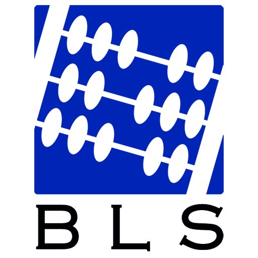 BLS Accountancy Könyvelő Kft.